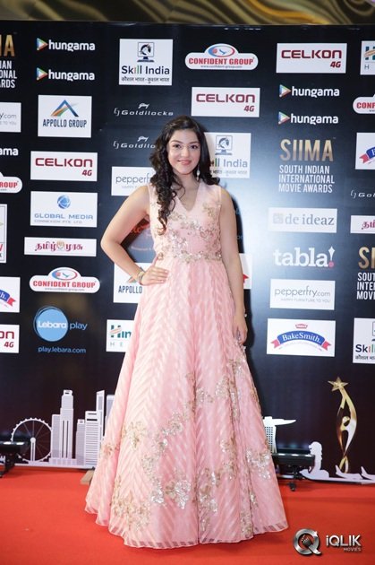 South-Indian-International-Movie-Awards-2016-Day-2